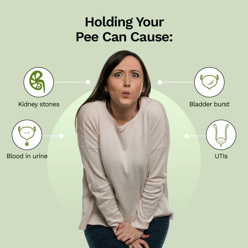 Pee Safe Toilet Seat Sanitizer